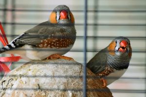 Ruhe- und Therapieraum